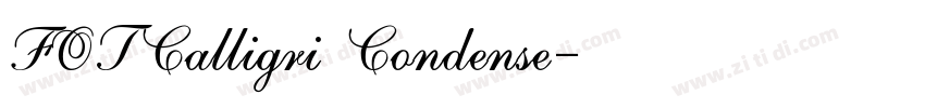 FOTCalligri Condense字体转换